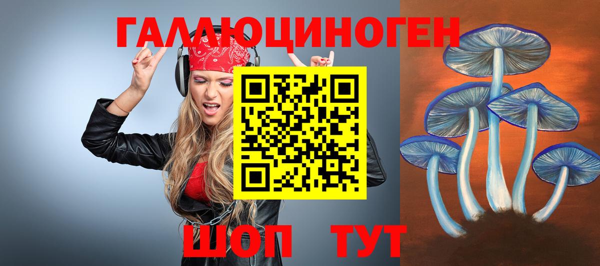 Псилоцибиновые грибы GOLDEN TEACHER Черняховск